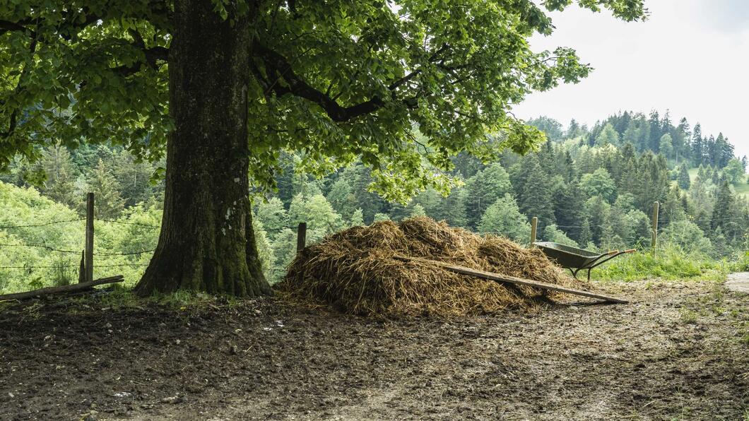 natuurlijke mestvaalt