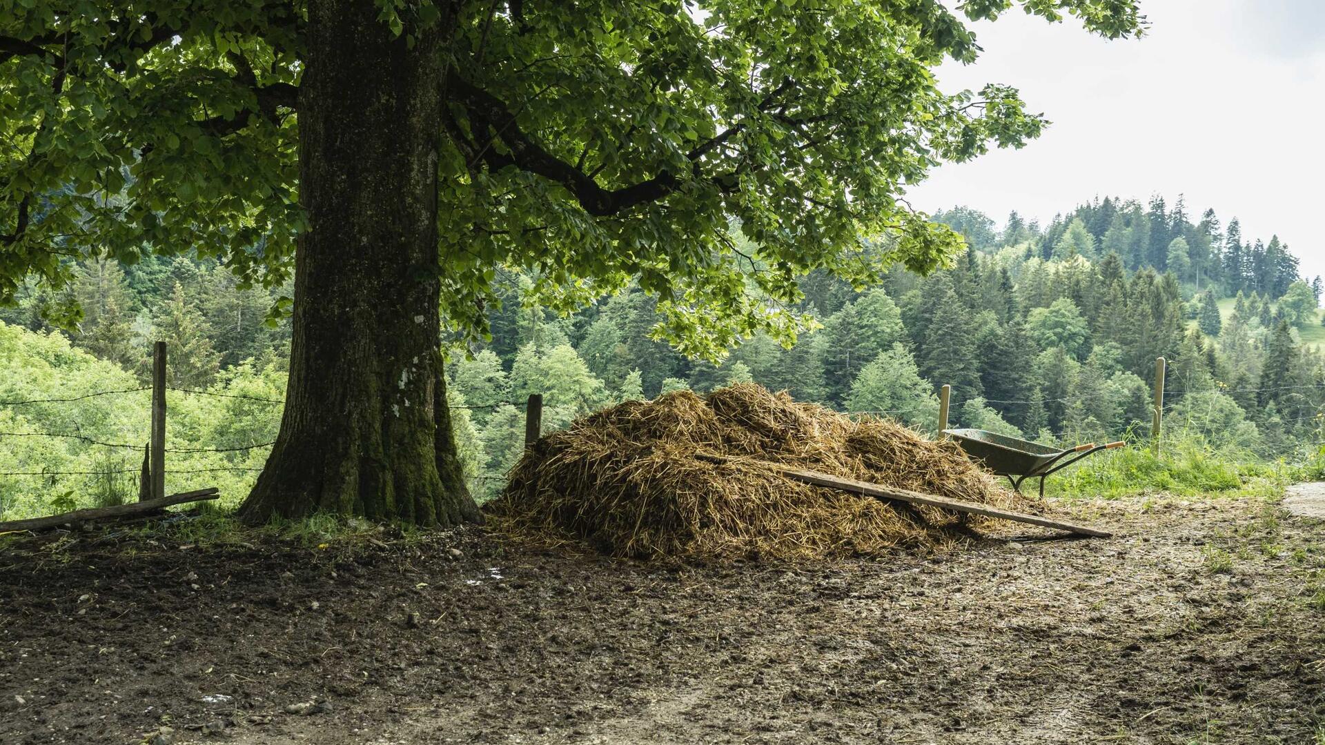 natuurlijke mestvaalt